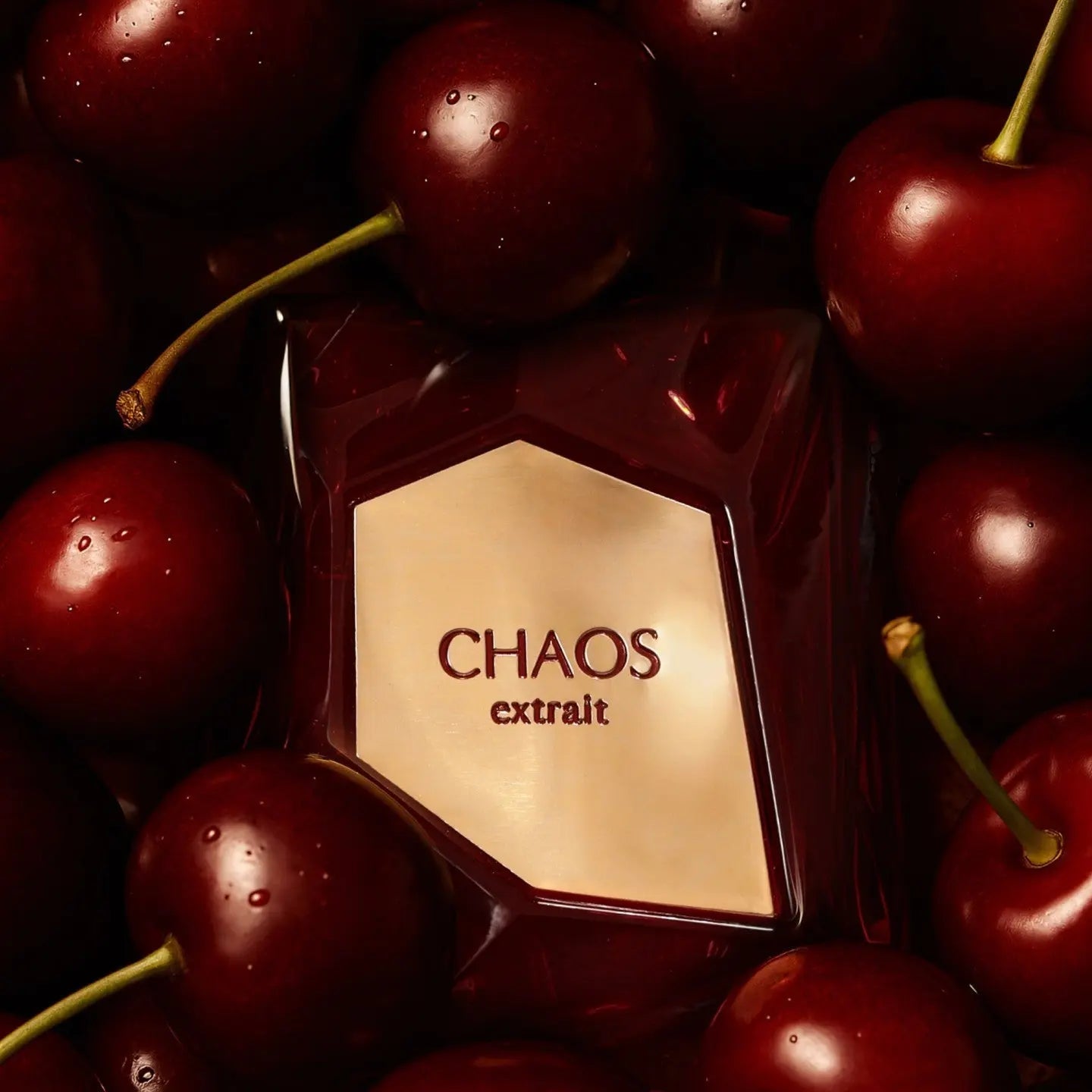 Chaos Extrait French Avenue EDP (100ml)