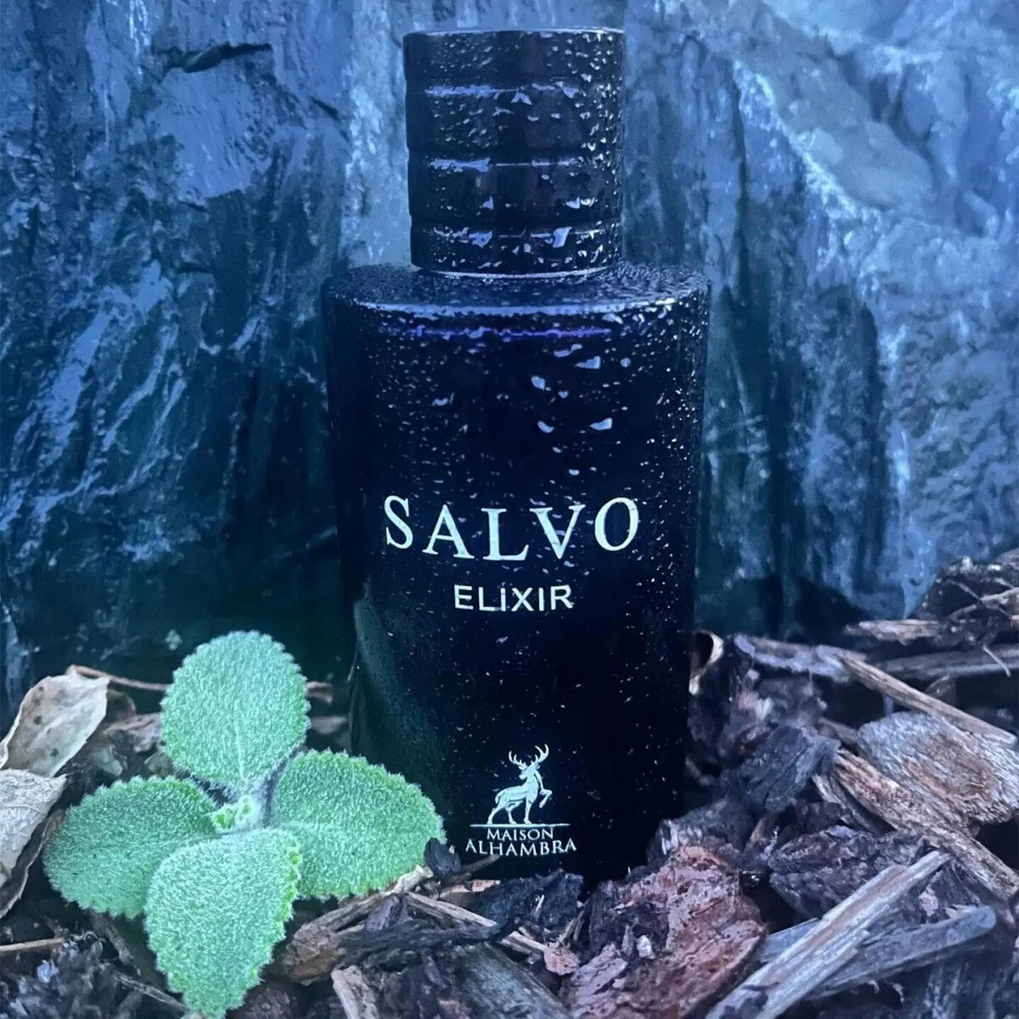 Salvo Elixir Maison Alhambra EDP (60ml)