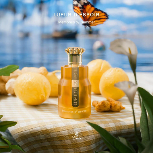 Emir Memories of Summer Paris Corner EDP (100ml)